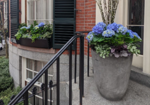 container garden