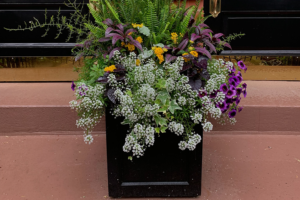 sessional gardening