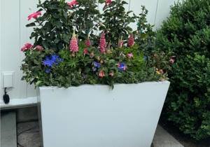 containing gardening