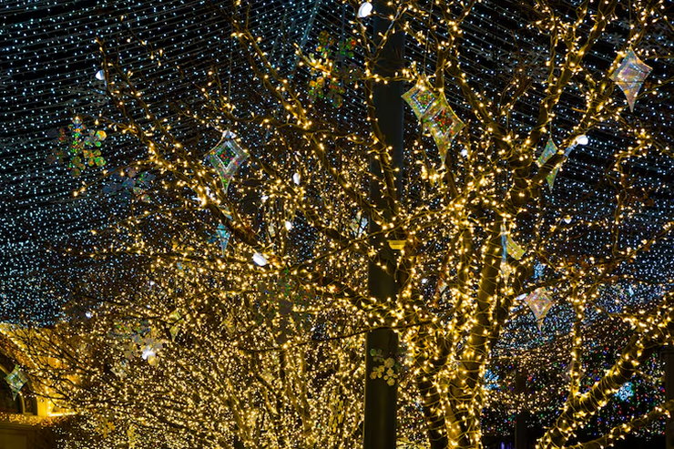 tree lighting