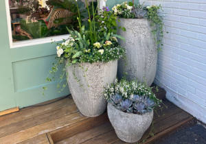 container gardening
