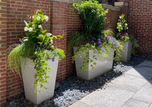 container gardening