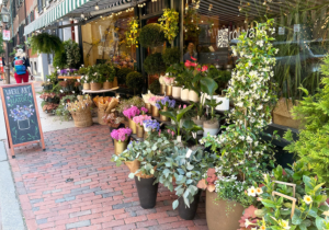 container gardening