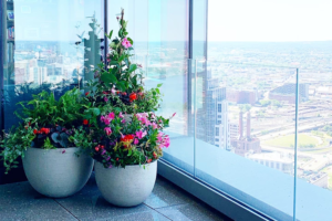Container gardening