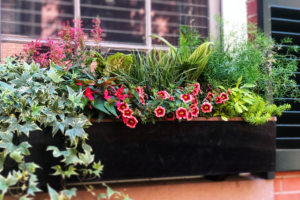 sessional gardening