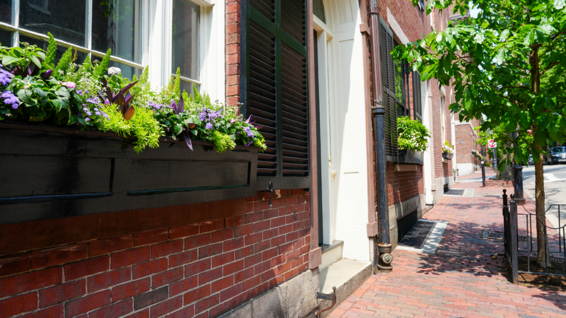 window box