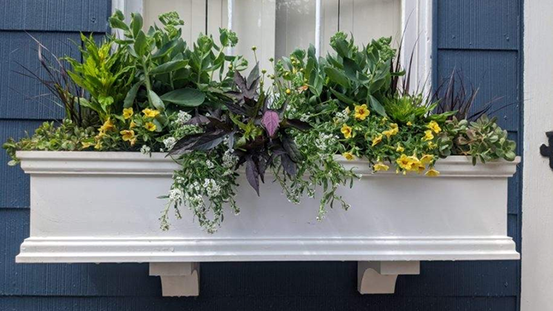 window box