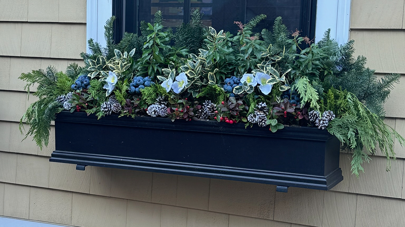 window box