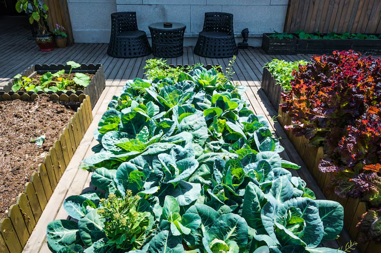 roof deck