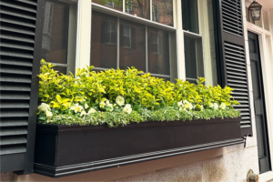 window box