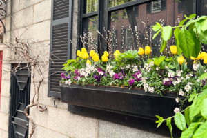 window box