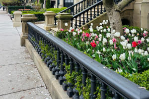 landscaping