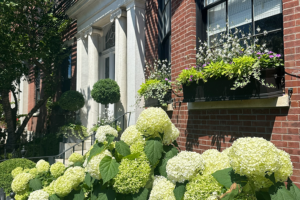 landscaping