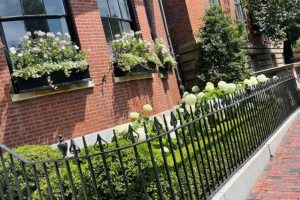 landscaping
