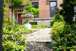 landscaping
