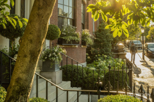 landscaping
