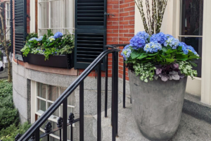 landscaping