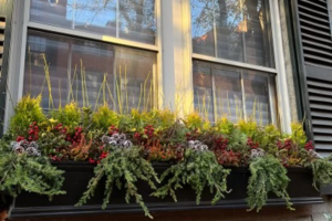 landscaping