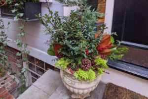 landscaping
