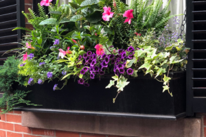 landscaping