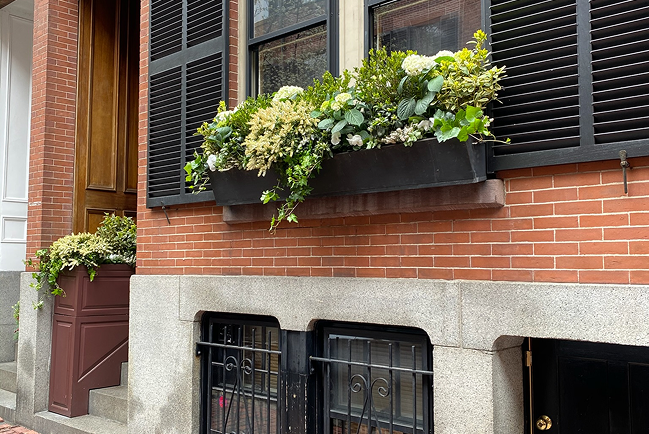 landscaping