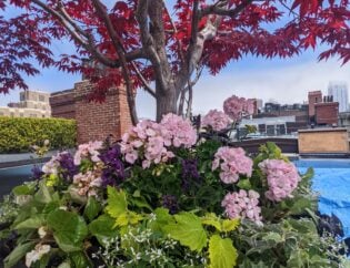 PXL_20220512_161049179