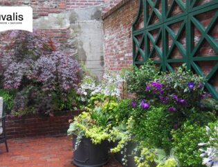 Rouvalis Gardens