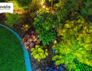 Drip Irrigation or Landscape Lighting