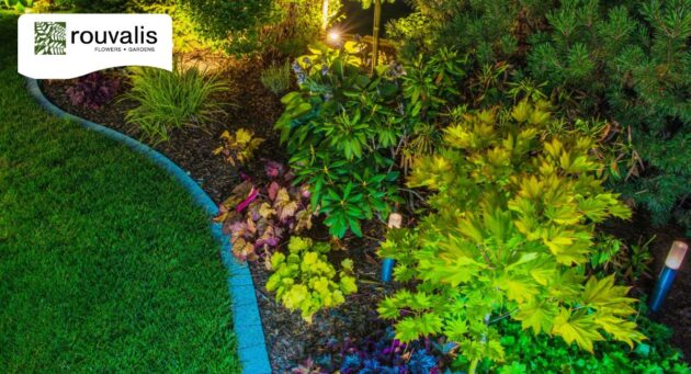 Drip Irrigation or Landscape Lighting