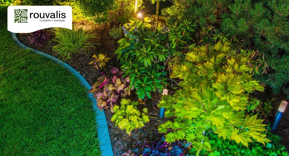 Drip Irrigation or Landscape Lighting
