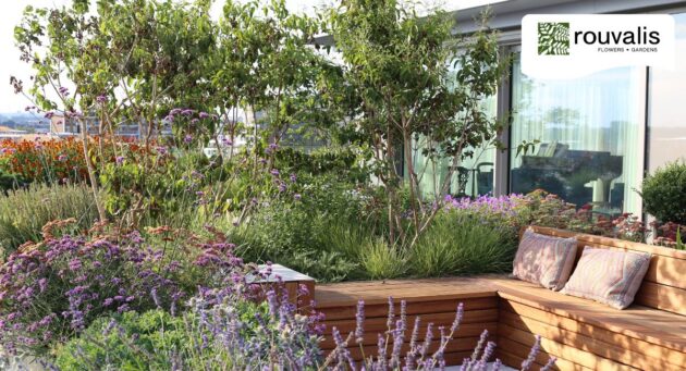 Outdoor Space
