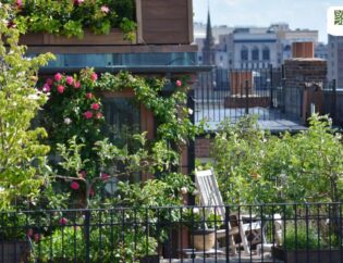 Rooftop Garden Design