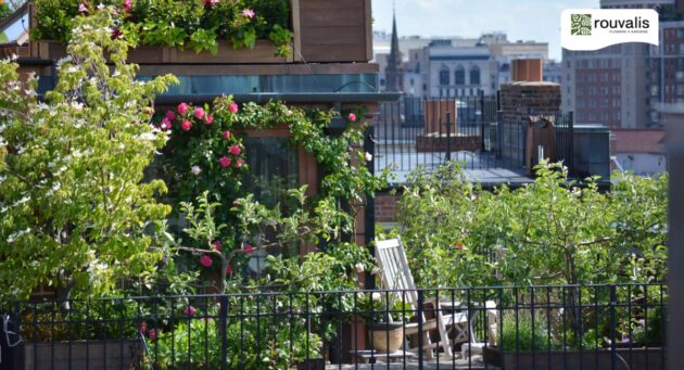 Rooftop Garden Design