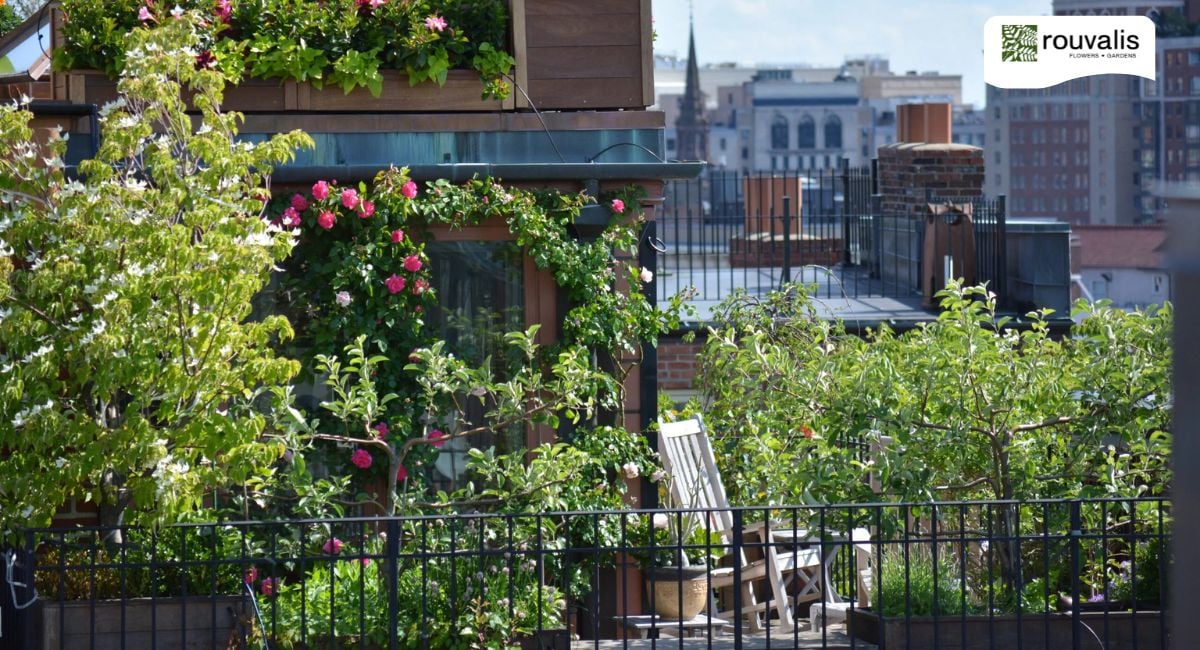 Rooftop Garden Design